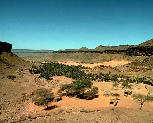 ОАЗИС в западной части Мавритании.